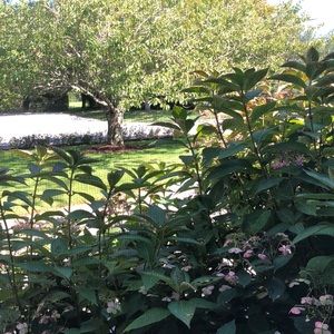 Meet your Posher, Sabrina